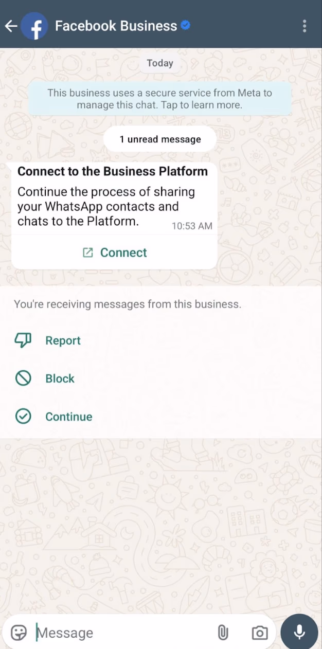 WhatsApp Business app chat from the official Facebook Business account with a 'Connect to the Business Platform' button